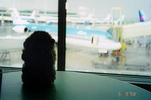 Me at Schipol