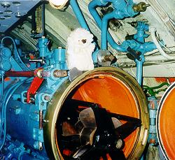 Me on a torpedo tube